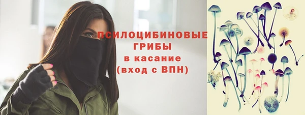 дживик Заволжск