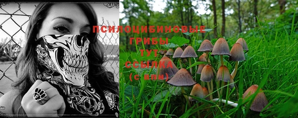 дживик Заволжск