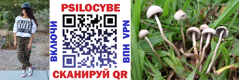 Галлюциногенные грибы Magic Shrooms Купить где Новохопёрск
